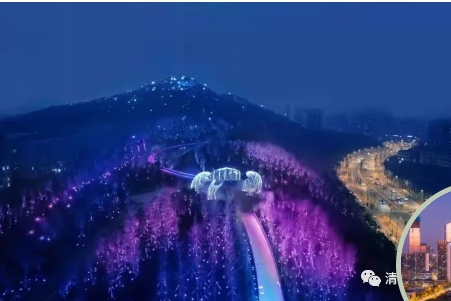 乙巳二月十一夜登茂岭怀感