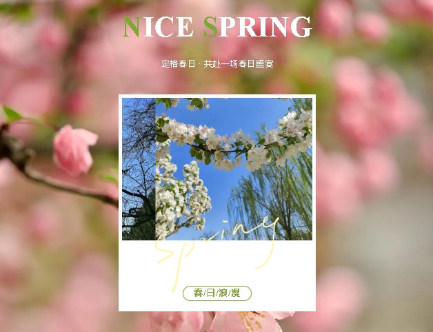 春日图鉴 | 载熙律师镜头里的春日诗篇（一）