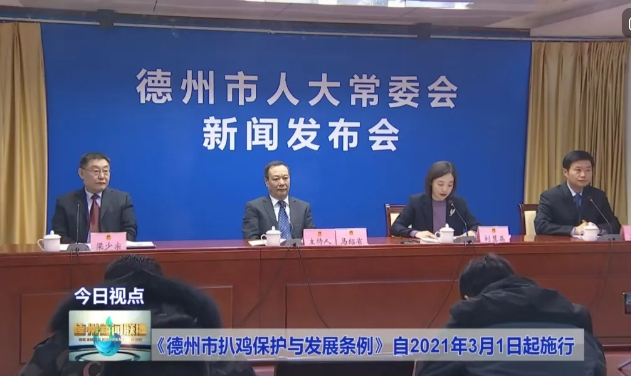 载熙法律服务产品&nbsp;|&nbsp;德州市扒鸡保护与发展法律服务指南
