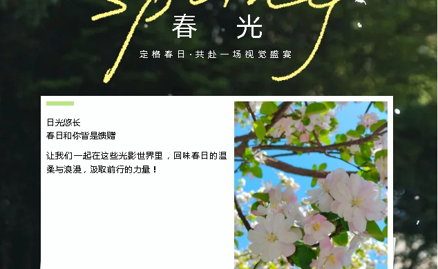 载熙律师镜头里的春日诗篇（三）