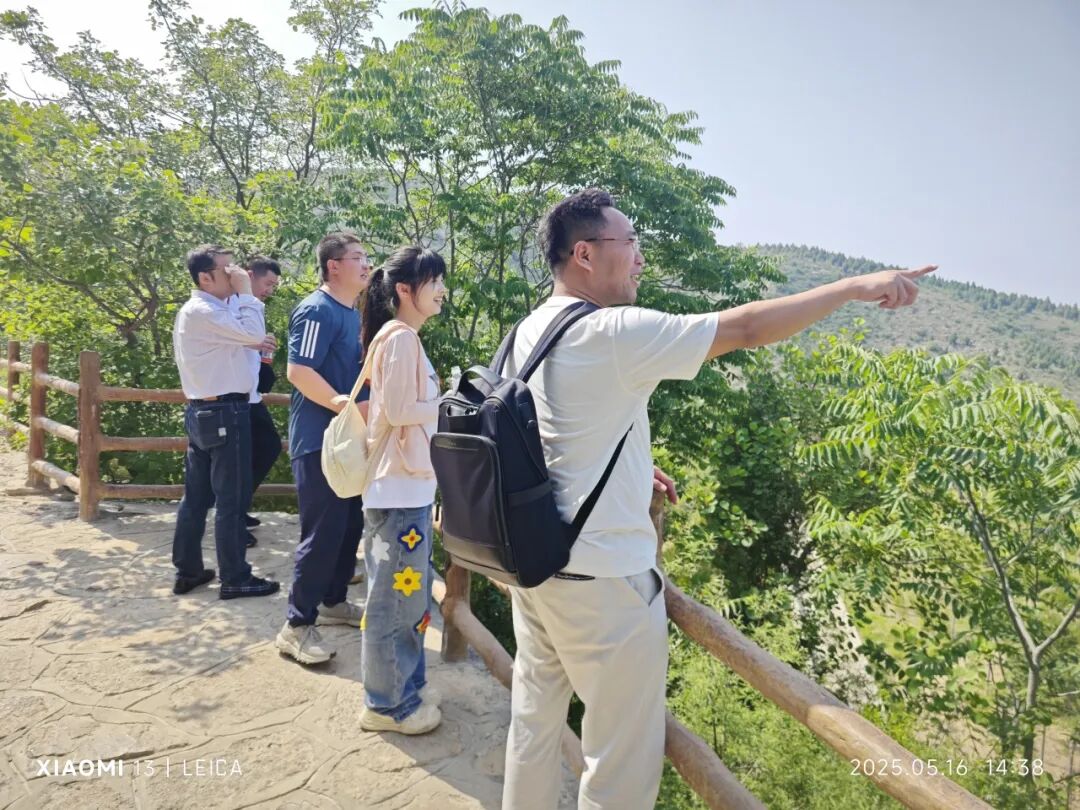我见青山多妩媚