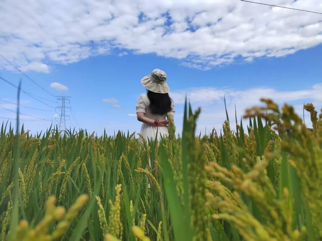 案卷之外，和家人一起阅山河