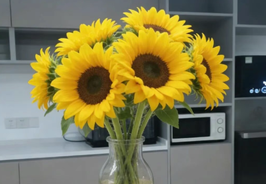 微光汇聚&nbsp;终成星河&nbsp;|&nbsp;姜萍、卢娜、魏丹丹：藏在细节里的温暖